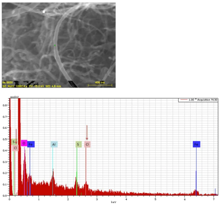Figure 3. SEM-EDS analysis of Thin-MWCNTs-Init.