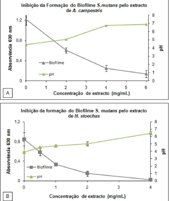 Figura 8 – Inibição da formação do biofilme de S. mutans pelos extractos das flores de A