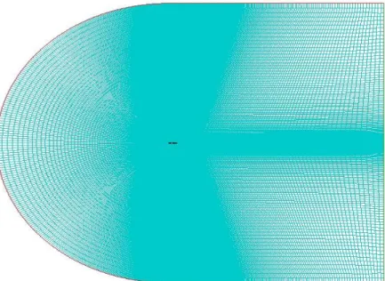 Figura 9 - Aspeto geral da malha do volume de controlo utilizado 