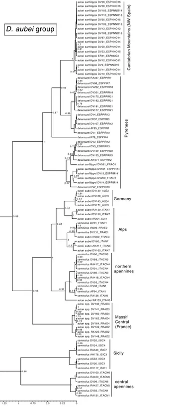 Figure 4 Ultrametric time calibrated tree of the D. aubei group. Ultrametric time calibrated tree ob- ob-tained with BEAST with the combined nuclear and mitochondrial sequence of all sampled specimens of the D