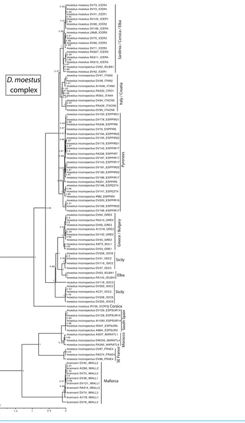 Figure 7 Ultrametric time calibrated tree of the D. moestus complex. Ultrametric time calibrated tree obtained with BEAST with the combined nuclear and mitochondrial sequence of all sampled specimens of the D