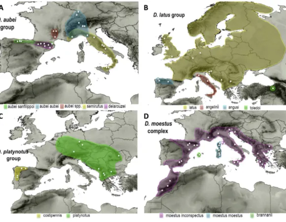 Figure 1 Distribution maps of the studied species. Known distribution of the species of the four studied groups of Deronectes