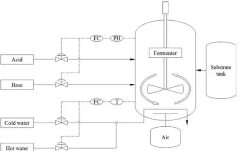 Figura 4 - Reator em batelada com controle das variáveis do processo. 