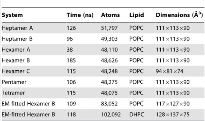 Table 4 lists all simulations performed. In the tetramer, pentamer, hexamer and heptamer simulations, the p7 model was placed in a fully hydrated, thermalized POPC membrane, and restrained for the first few nanoseconds to enhance lipid packing around the p