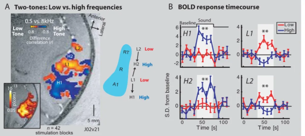 Figure 3. Two Tones Reveal Multiple Frequency Selective Regions over the Auditory Core