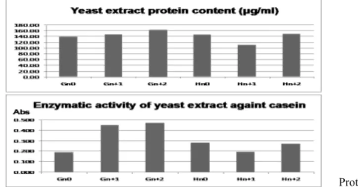 Fig. 1 - Protein content 