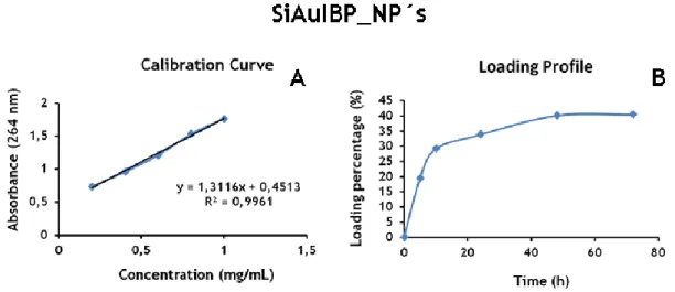 Figure 12 - Loading profile and calibration curve of SiAuIBP_NP´s. 