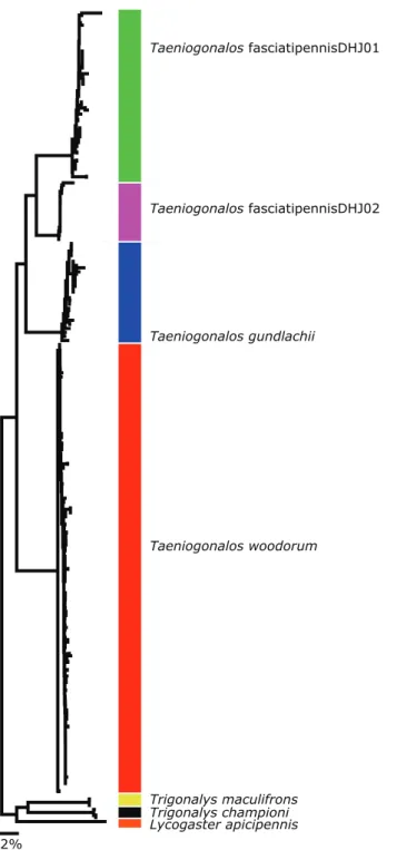 Figure 2. A neighbor-joining tree (NJ) built using Kimura 2 Parameter distance and including 201  sequenced trigonalid specimens from the ACG and North America that have COI sequence greater than  200 bp