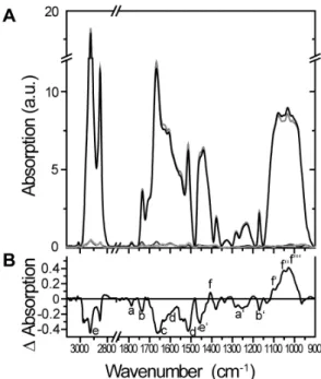 Figure 2. ATR-FTIR spectra of ozone- and control-treated Ambrosia artemisiifolia pollen