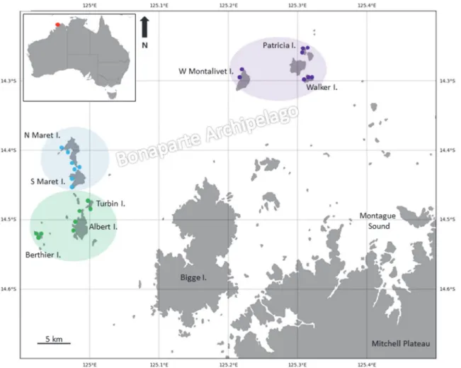 Fig 1. Map of study sites in the Bonaparte Archipelago, Kimberley, Australia. Individual dots indicate survey sites within the three main island groups—