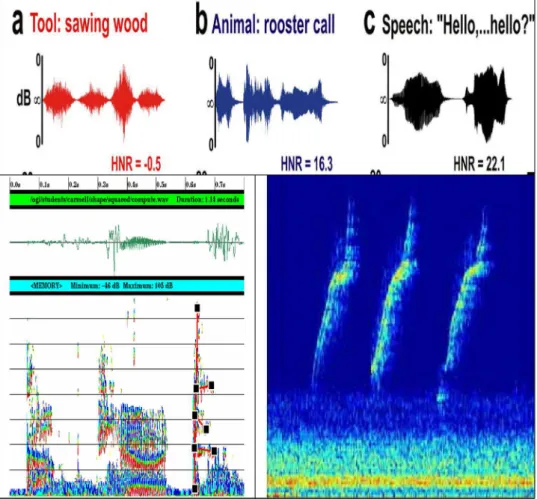 Fig.  1 .  Comparisons  of  acoustical  diferences  between  categories  of  sound,  illustrating  similarities  between  tonal and human speech sounds relative to tool sounds; spectrogram of human speech and a bottlenose  dol-phin whistle.