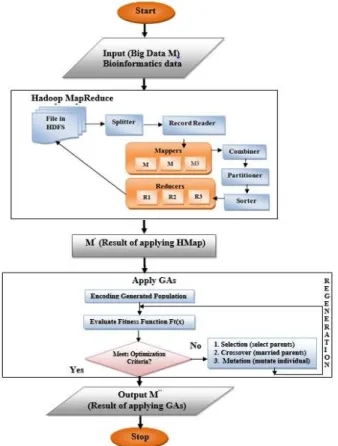 Fig. 5. Proposed Model II HMapGA Stages 