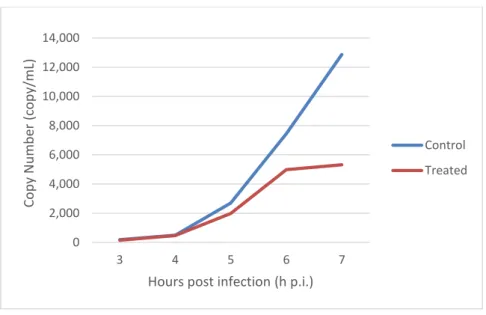 Fig. 12 - Quantification of HSV-2 DNA (copy/mL) in infected cells (treated and non-treated)  at different hours post infection  (h p.i.)