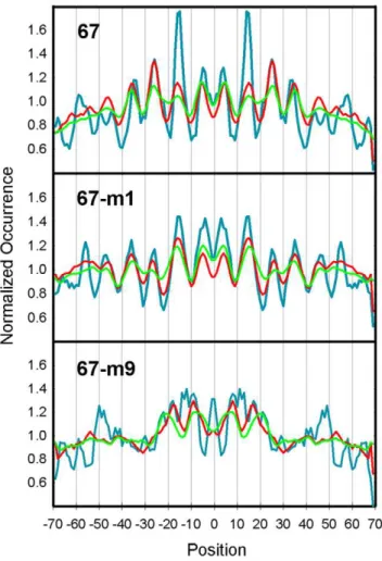 Figure 5. Analysis of Fragment 67 mutations in the in vitro library. The top panel shows an analysis of the occurrences of the nucleosome sequences in the yeast database that contains the 8 bp sequence CTCTAGAG that surrounds the KMnO4 hyperreactive T resi