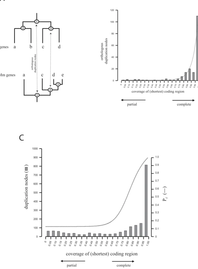 Figure 2. Analysis of Gene Coverage between Mouse and Human Paralogs