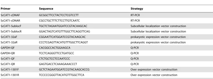 Table 1. Primers used in this study.