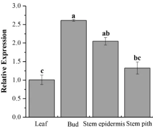 Figure 6. Q-PCR analysis of the ScCAT1 expression patterns in biosystem of sugarcane-smut ( Sporisorium scitamineum ) interaction.
