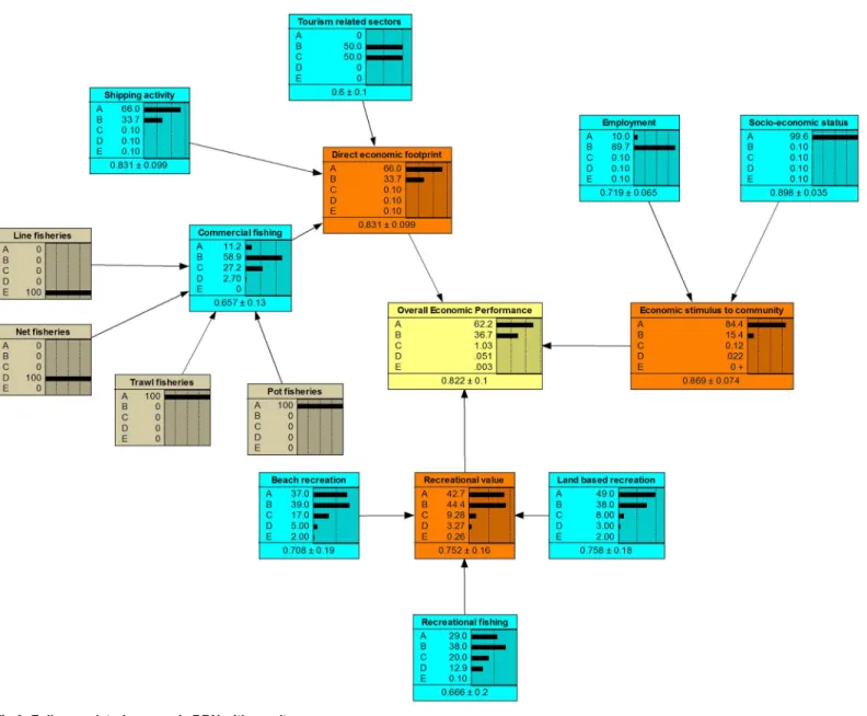 Fig 6. Fully populated economic BBN with results.