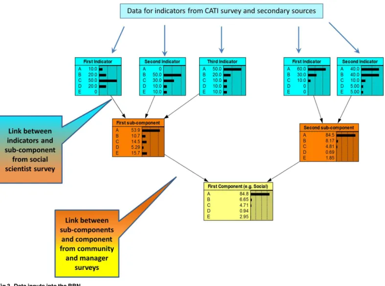 Fig 3. Data inputs into the BBN.