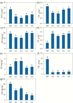 Figure 3. Soil microbial biomass carbon and nitrogen in the Pi- Pi-nus and the successive Eucalyptus plantations