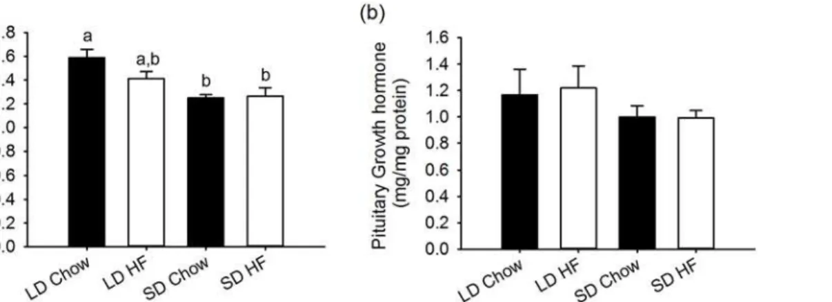 Fig 5. Effect of photoperiod and high fat diet (HFD) on serum IGF-1 and pituitary growth hormone (GH) levels in juvenile F344 rats after, 4 weeks of treatment