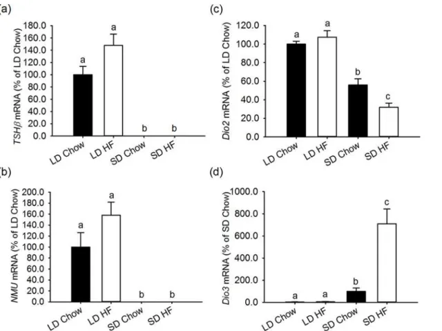 Fig 6. Effect of photoperiod and high fat diet (HFD) on gene expression of TSH β and NMU in the pars tuberalis of the pituitary and Dio2 and Dio3 in the tanycytes around the third ventricle in juvenile F344 rats after 4 weeks of treatment