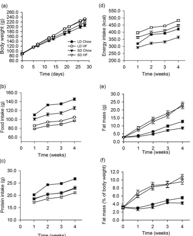 Fig 1. Effect of photoperiod and high fat diet (HFD) on body weight, food, protein and energy intake and body fatness of juvenile F344 rats over 4 weeks of treatment