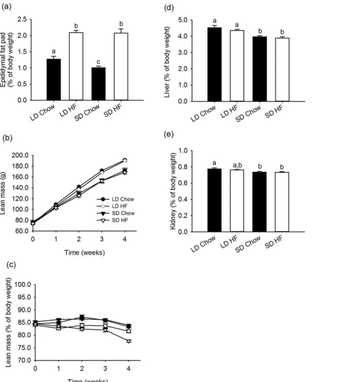 Fig 2. Effect of photoperiod and high fat diet (HFD) on epididymal fat, lean mass and liver and kidney weight of juvenile F344 rats over, or after, 4 weeks of treatment
