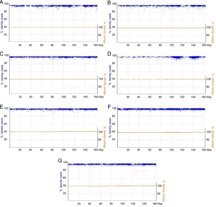 Figure 3. Draft assemblies of the chloroplast genomes of 7 castor bean accessions. Assembled contigs corresponding to the chloroplast genomes of the different accessions are shown in orange, mapped to the reference v