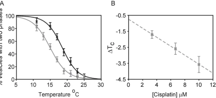 Fig 1. Cisplatin lowers transition temperatures in GPMVs isolated from RBL cells. (A) The fraction of GPMVs with coexisting liquid phases as a function of temperature for RBL-2H3 derived GPMVs imaged in the absence (black crosses) or presence (grey squares