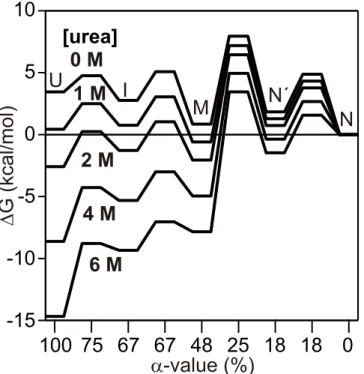 Fig 5. A free energy diagram of h-apoMb at pH 6.0 and 8°C as a function of α -value (i.e., the change in the solvent accessible surface area relative to N).