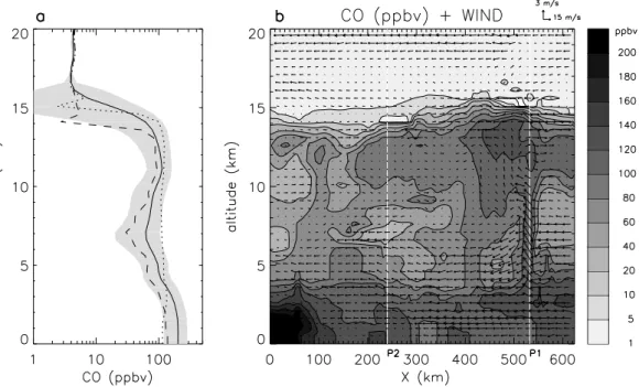 Fig. 5. Simulation results on 8 February 2001 at 22:00 UT. (a) CO averaged over the Grid 2 domain as a function of altitude (bold line) with logarithm scale in horizontal axis