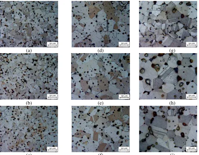 Fig. 6. Microstructure of specimens sintered at different temperatures for 30 min in Ar  atmosphere followed by cooling in exit zone of furnace (top, center and bottom of broken 