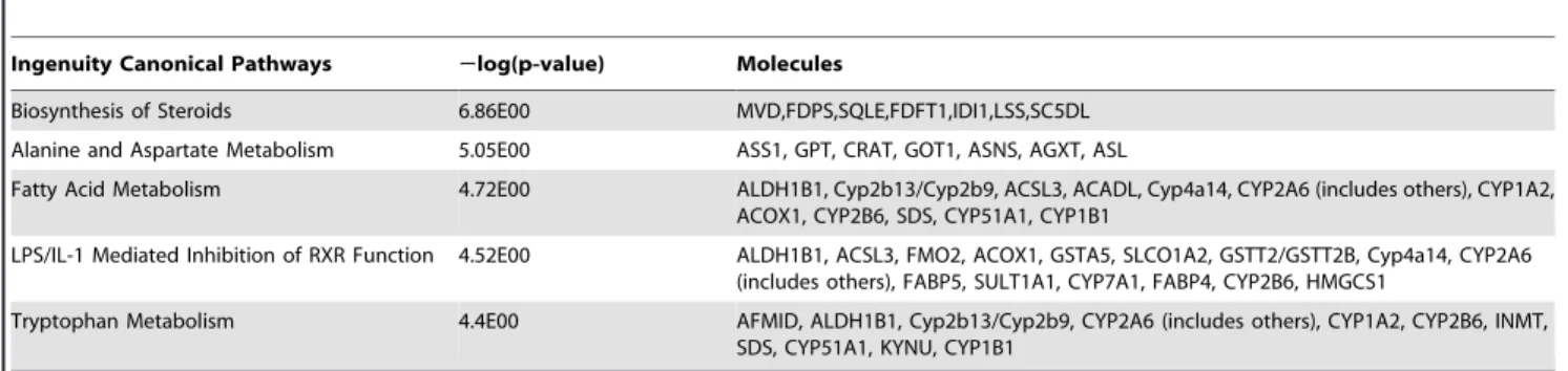 Table 4. Top 5 differentially regulated canonical pathways between H-P/C-HF and L-P/C-HF feeding for 4-wk.