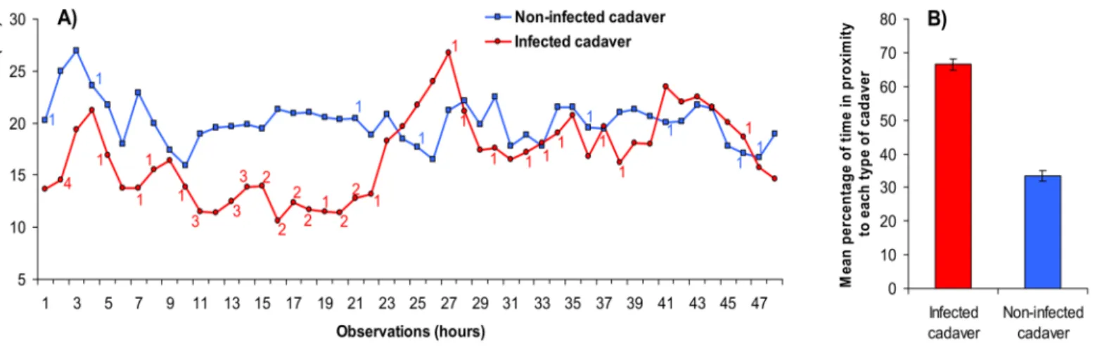 Fig 4. Mean distance between healthy larvae and infected or non-infected cadavers. a) Hourly means of observations performed over a 48 h period on each larva (n = 22 larvae)