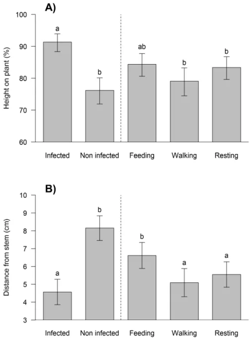 Fig 3. Distribution of live larvae on plant when they were eating, walking and resting, as well as the position of the cadavers (infected and uninfected), (n = 23)
