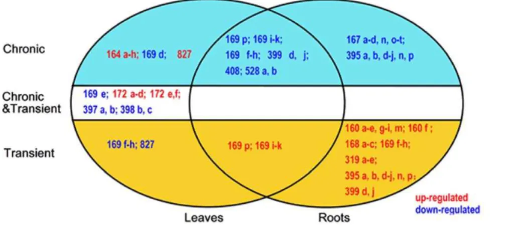 Table 1. Chronically low nitrate treatment (0.04 mM, 15 days) reduced the biomass and changed the biomass partition in maize seedling (per plant).