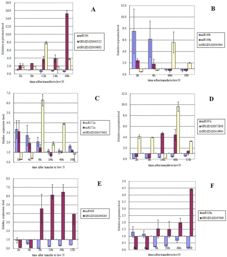 Figure 3. Verification of the low nitrate responsive pattern of the mature miRNAs identified in leaves and their predicted target genes by qRT-PCR