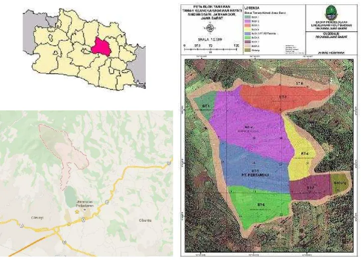 Figure 1. The  map of sampling  site  distribution  in in  Kiara  Payung  Biodiversity  Park  in  Sindangsari  Village,  Sukasari  Sub-district, Sumedang District, West Java, Indonesia (BPLHD 2014)