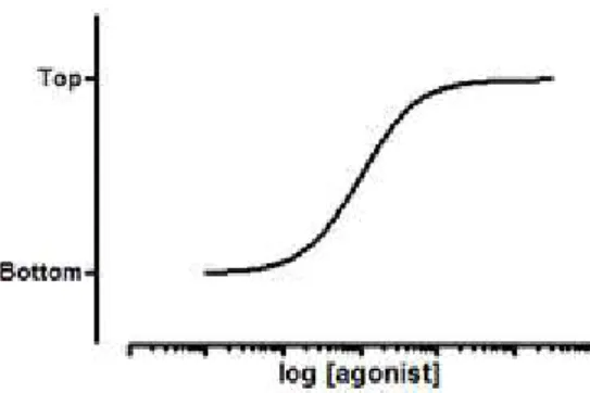 Figura 2.1 Modelo da curva log (agonist) vs response (Variable slope – four parameters) obtida no software  GraphPad Prism, versão 6.01 (36)