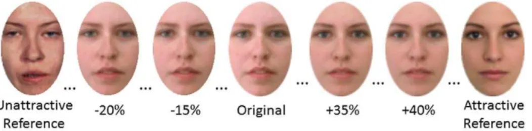 Figure 1. Reference faces with which participants’ original photographs were morphed and selected examples of morphed images.