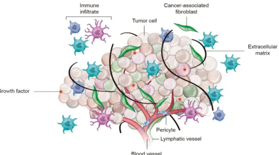Figure 1. Representation of the cellular and non-cellular components found in tumor microenvironment  and that have an active role in the process of carcinogenesis