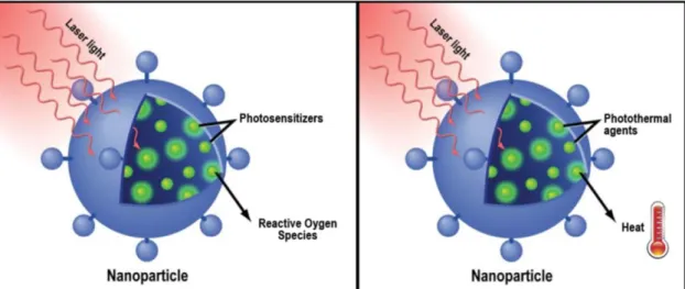 Figure 7. Representation of the mechanism of action of nanoparticles-mediated photodynamic therapy  (left) and photothermal therapy (right)