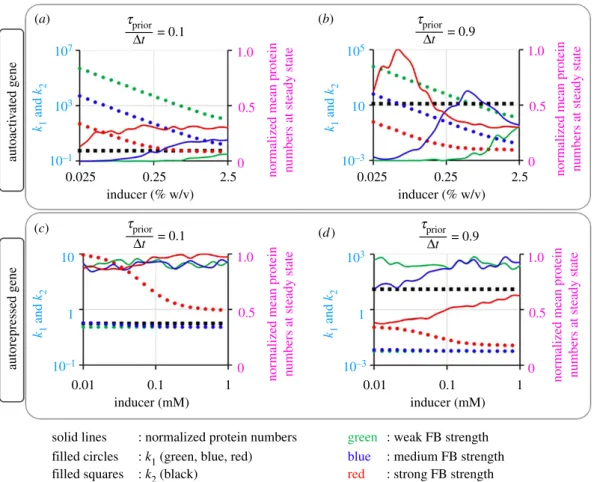 Figure 6. Kinetic parameters of autoregulated transcription allowing biphasic induction