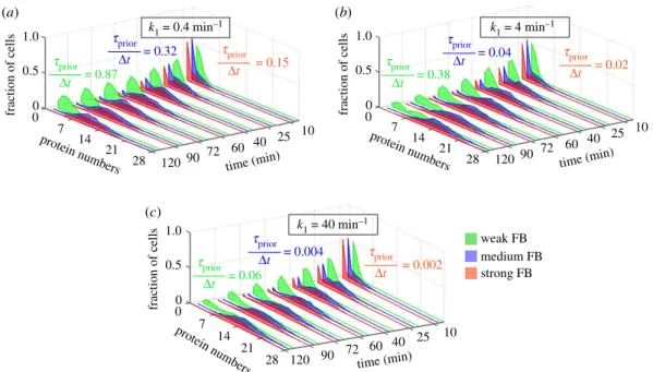 Figure 10. Bimodality in cell populations with autoactivated genes as a function of feedback strength and t prior / Dt