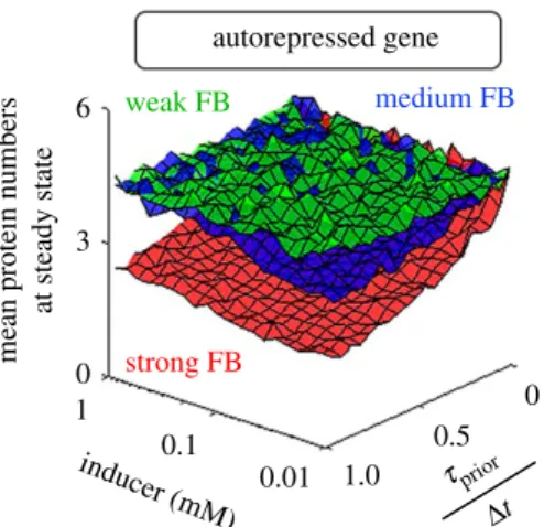 Figure 4. Steady state mean protein numbers of autorepressed genes for different autorepression strengths