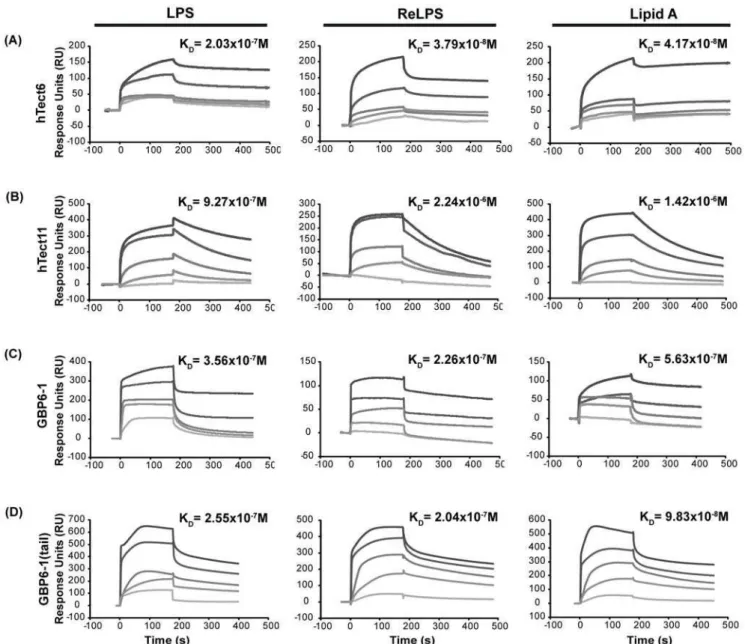 Figure 6. hTectonin peptides and GBP peptides bind LPS, ReLPS and lipid A with high afiinity