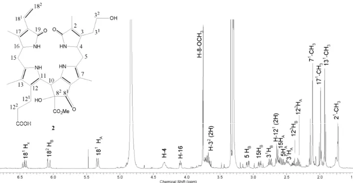 Figure 4. The  1 H-NMR spectrum of the C-8 2 -hydroxy Pp urobilinogenic chlorophyll catabolite ( 2 )