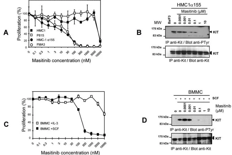 Figure 4. Effect of masitinib on cell proliferation and KIT tyrosine phosphorylation in mastocytoma cell-lines and BMMC