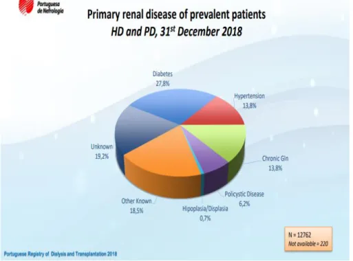 Figura 3 – Doença renal primária de pacientes prevalentes em HD e PD, 31 de dezembro  de 2018 30